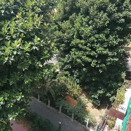 Amedeo Square فندق مبيت وإفطار 4*